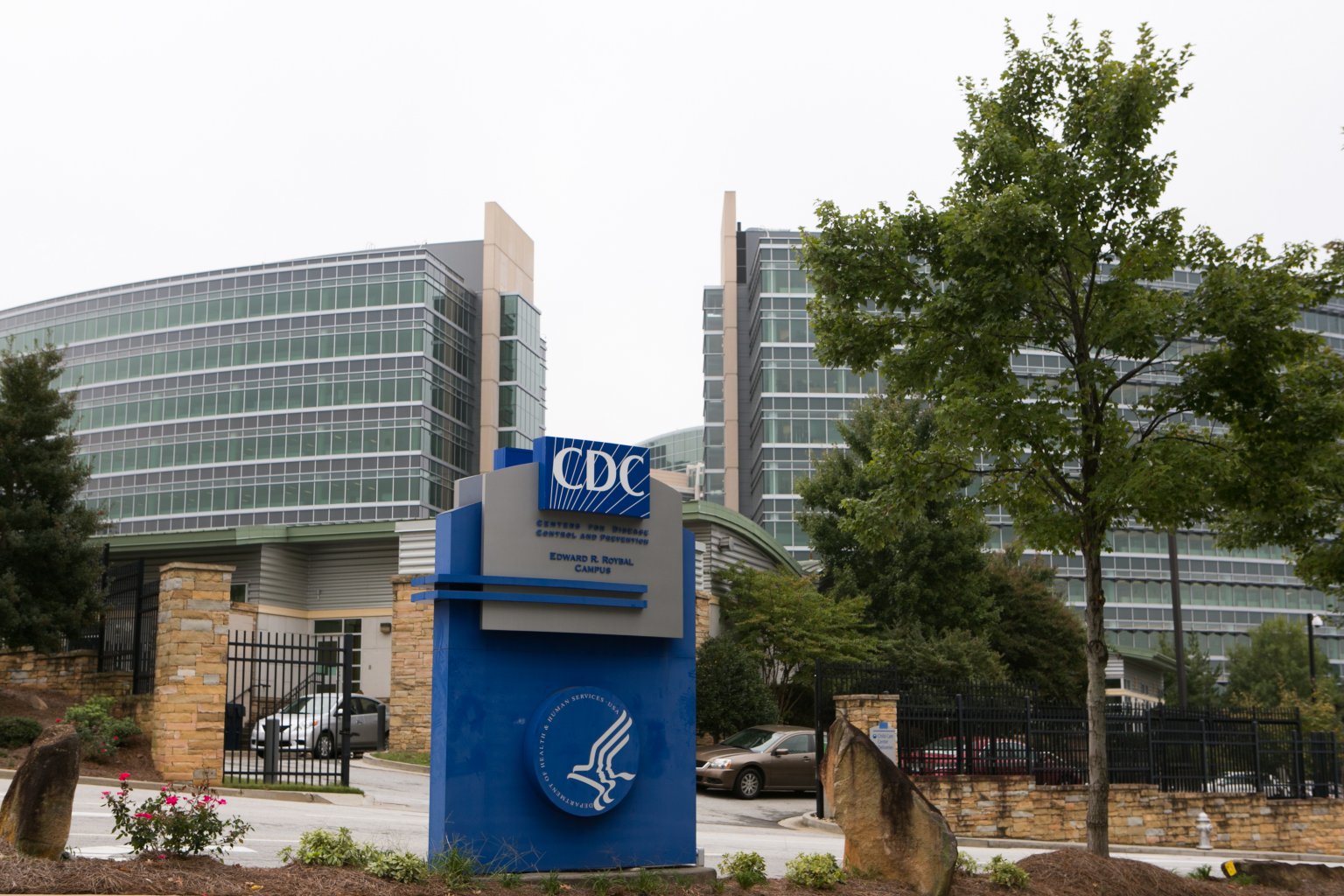 Watch CDC Expects More Monkeypox Cases in the U.S. – Latest News